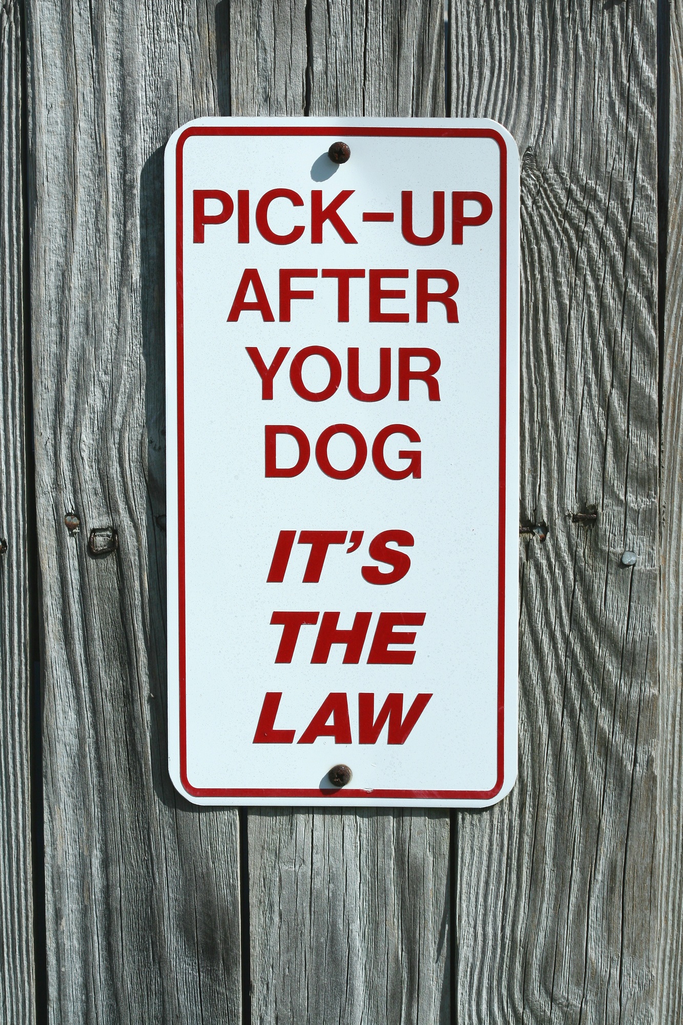 Pick up after your dog